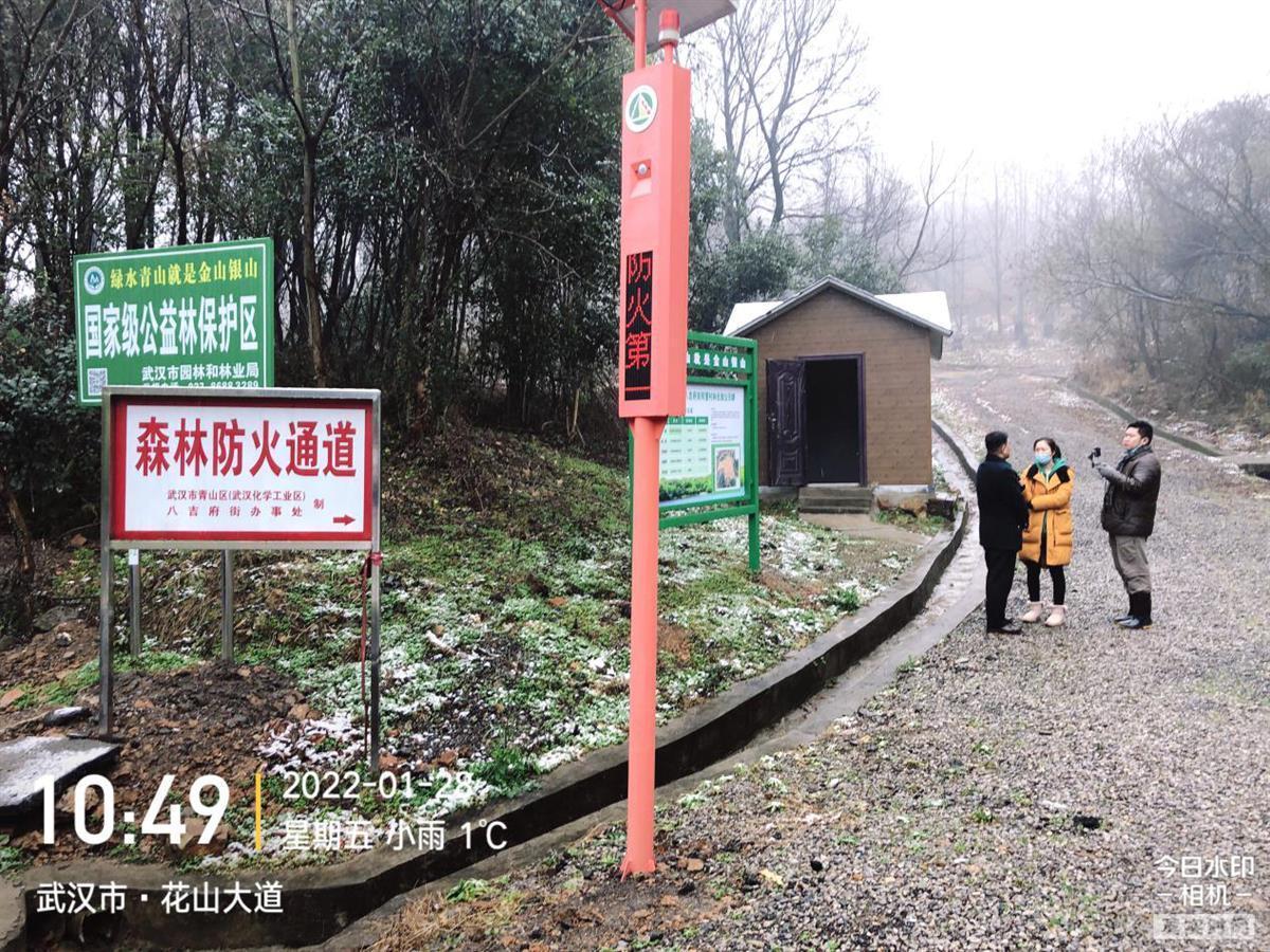 武漢織密森林“防火網(wǎng)”！千余護林員每日巡查 智能攝像頭監(jiān)控90萬畝生態(tài)林
